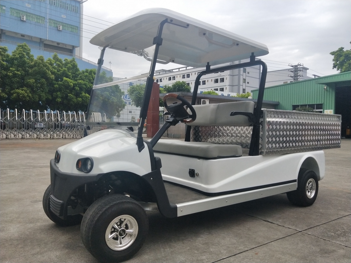 Electric Buggy POWER FORCE TECHNOLOGIES PTE LTD